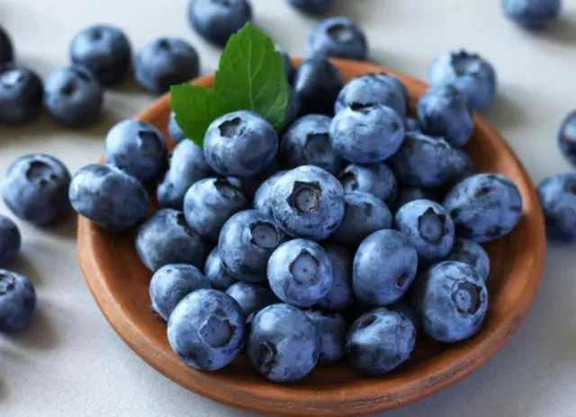 people are mind-blown after discovering blueberries aren’t actually blue 13722