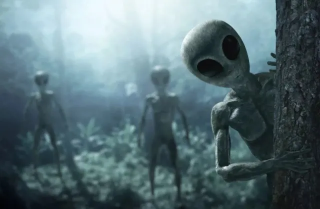woman reveals to receive messages from galactic federation alien leaders wa 13751
