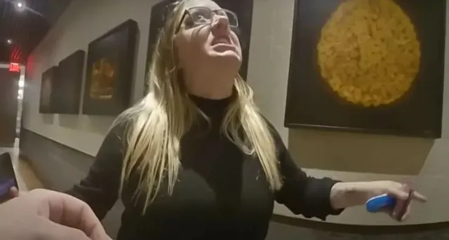 bbc comedian captured in bizarre rant to us police at airport before arrest 13925