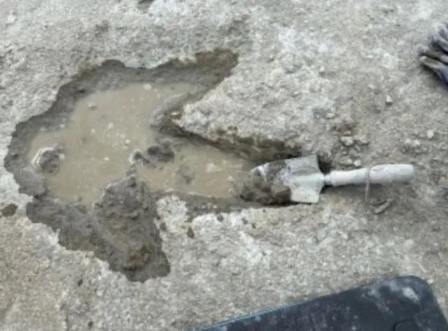 researchers make groundbreaking discovery as hundreds of dinosaur footprint 13914