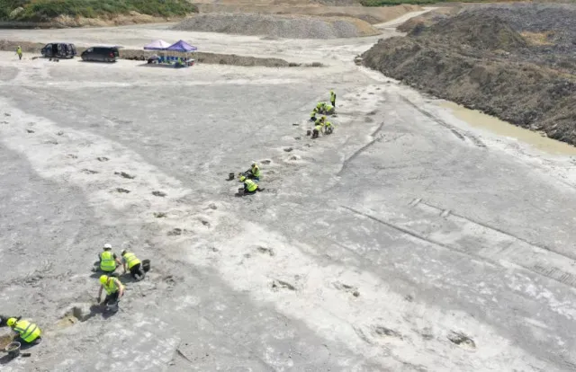 researchers make groundbreaking discovery as hundreds of dinosaur footprint 13915