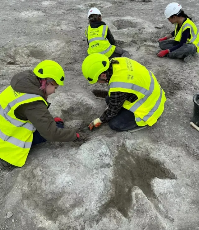 researchers make groundbreaking discovery as hundreds of dinosaur footprint 13911