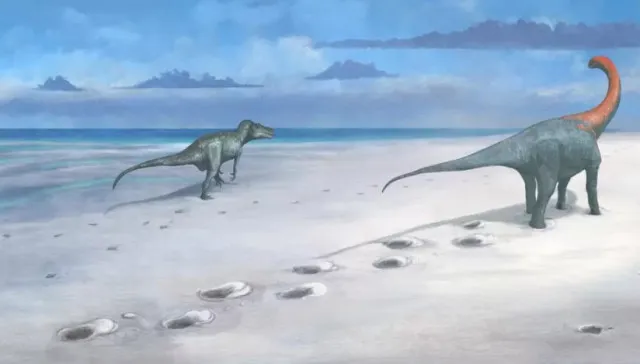 researchers make groundbreaking discovery as hundreds of dinosaur footprint 13913
