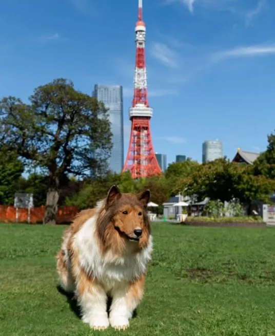 man who spent $14k to transform into a dog reveals he wants to live as anot 14045
