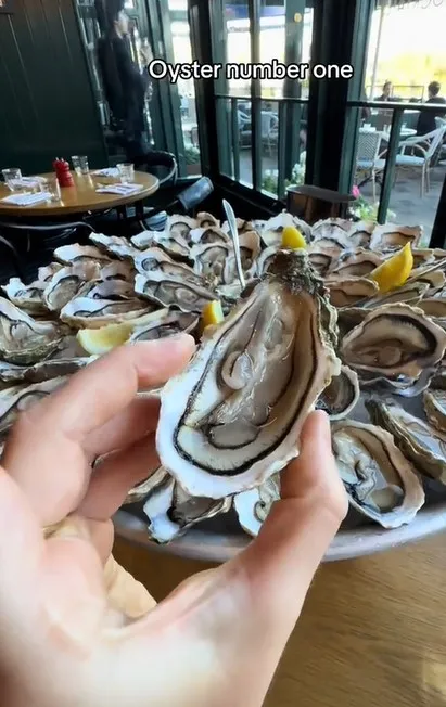 oyster lover leaves onlookers sick after devouring 70 in one sitting for br 14039