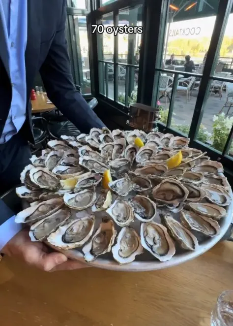 oyster lover leaves onlookers sick after devouring 70 in one sitting for br 14037