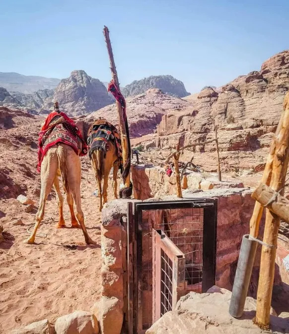 woman leaves city life to live in a cave with tribesman who liked her insta 13995