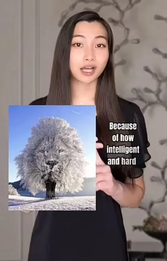 optical illusion reveals whether you are a private or social person 14086