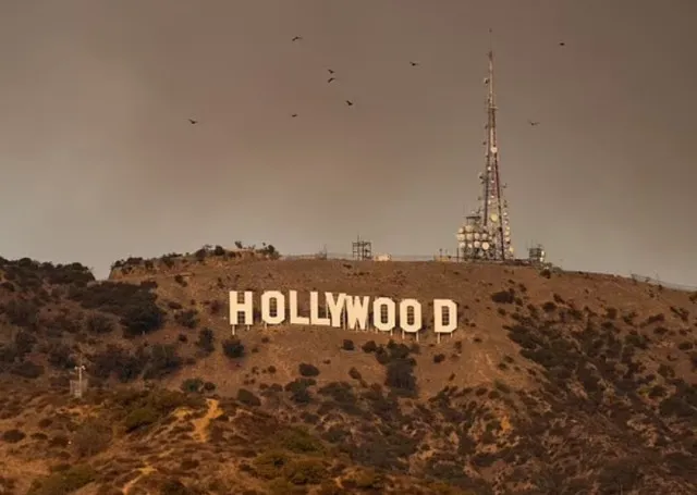 las iconic hollywood boulevard evacuated amid dangerous wildfires in celeb 14187