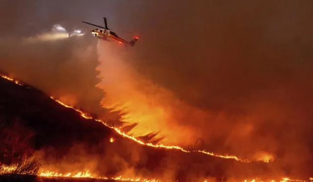 man taken into custody for allegedly causing fire in los angeles as casualt 14369