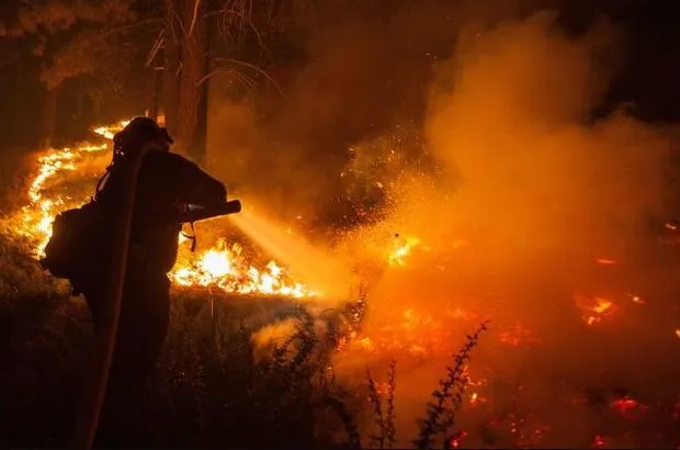 california hit by earthquake as wildfires ravage the state 14448