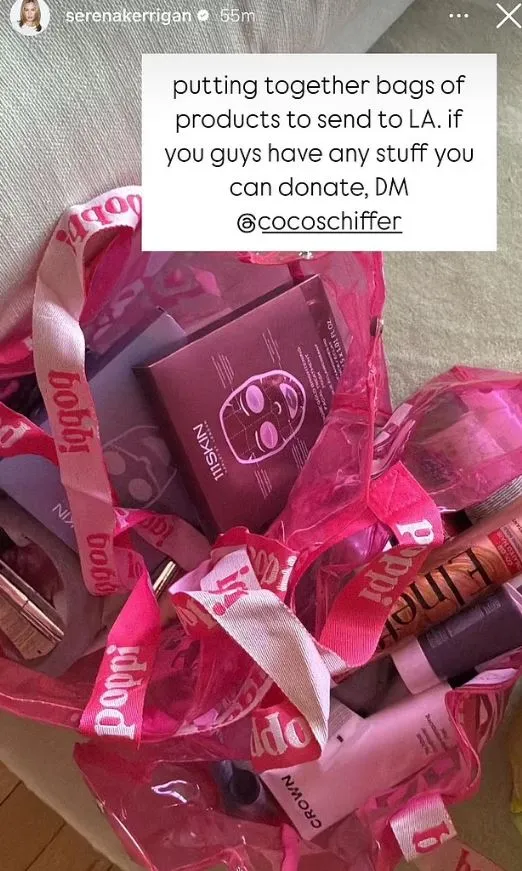 influencers donation sparks debate over dystopian fire relief effort 14532