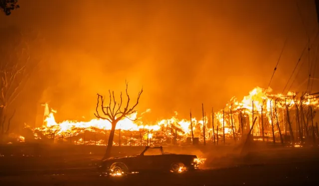 leonardo dicaprio and vittoria ceretti spotted fleeing la wildfires on priv 14622