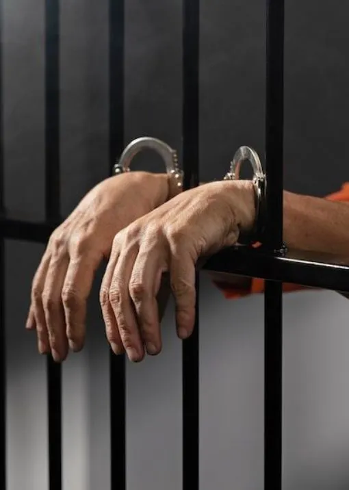 prison inmates help fight la wildfires amid rising death toll and destructi 14540