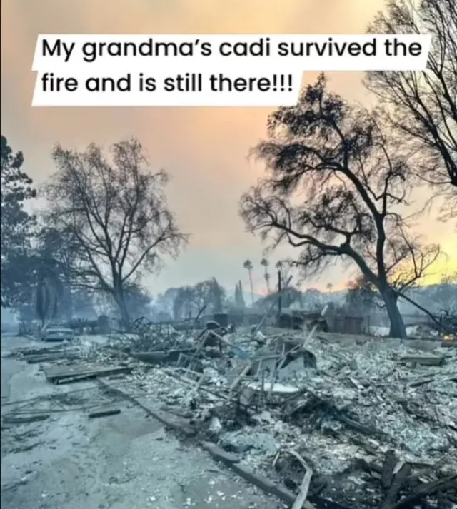 95-year-old retired actress tragically passes away in home ruined by raging 14685