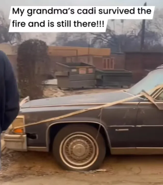 95-year-old retired actress tragically passes away in home ruined by raging 14684