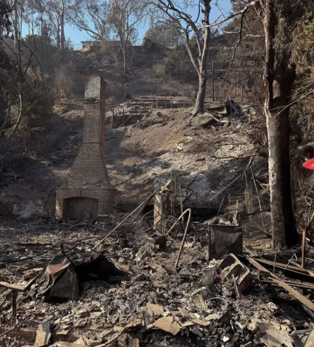 beyonce hailed by fans for massive donation to la wildfire relief efforts 14711