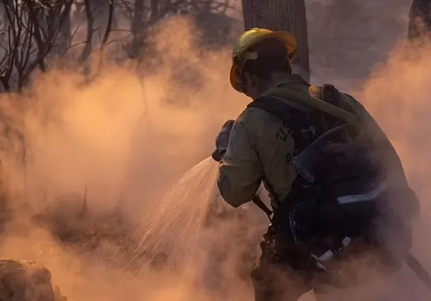 billionaire criticized for hiring private fire crew to protect his luxury m 14806