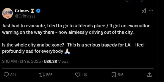 grimes defends elon musk amid criticism following la wildfires 14820