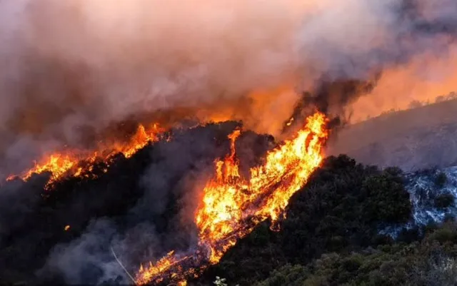 how malibus miracle mansion survived the la wildfires 14767