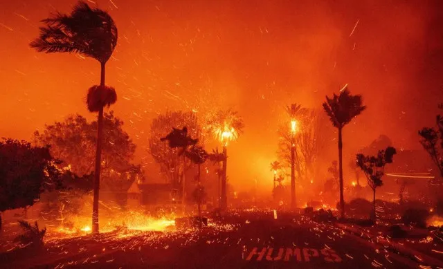 megyn kelly criticizes los angeles fire department leadership amid wildfire 14795