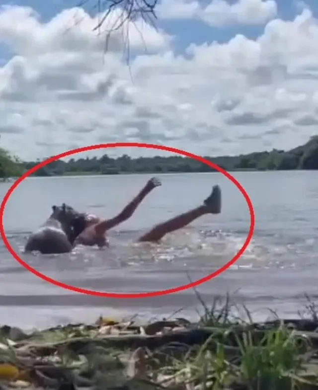 woman attacked by capybara while swimming in colombian lake 14810
