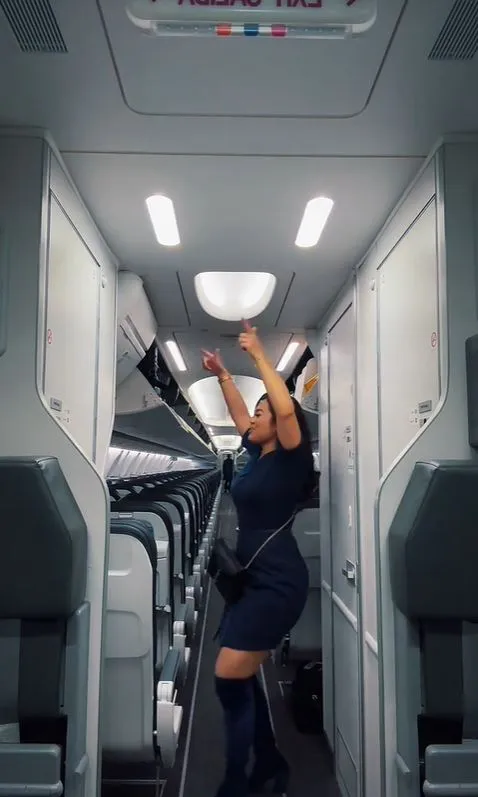 flight attendant fired for twerking video sets up gofundme page 14954