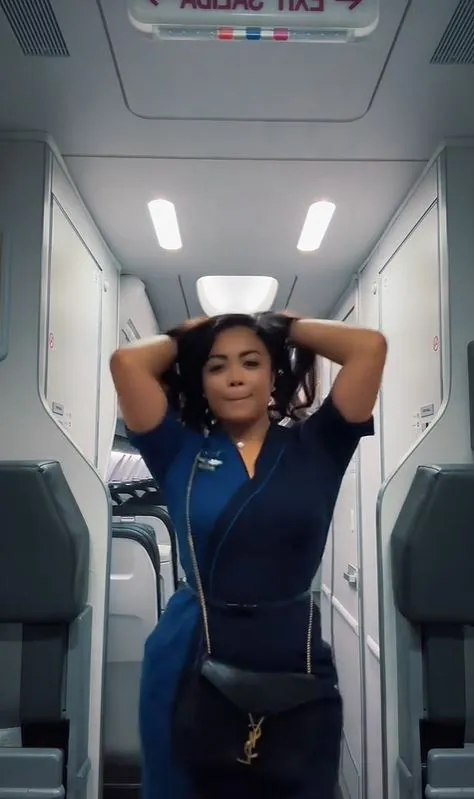 flight attendant fired for twerking video sets up gofundme page 14952