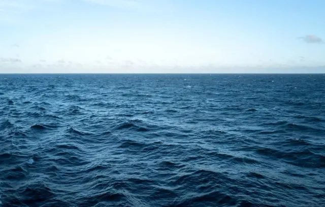 researcher reveals unsettling discovery from the deepest part of earths oc 15095