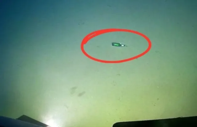 researcher reveals unsettling discovery from the deepest part of earths oc 15096
