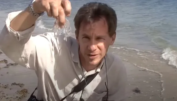man films himself being stung by worlds most venomous creature to see how 15232