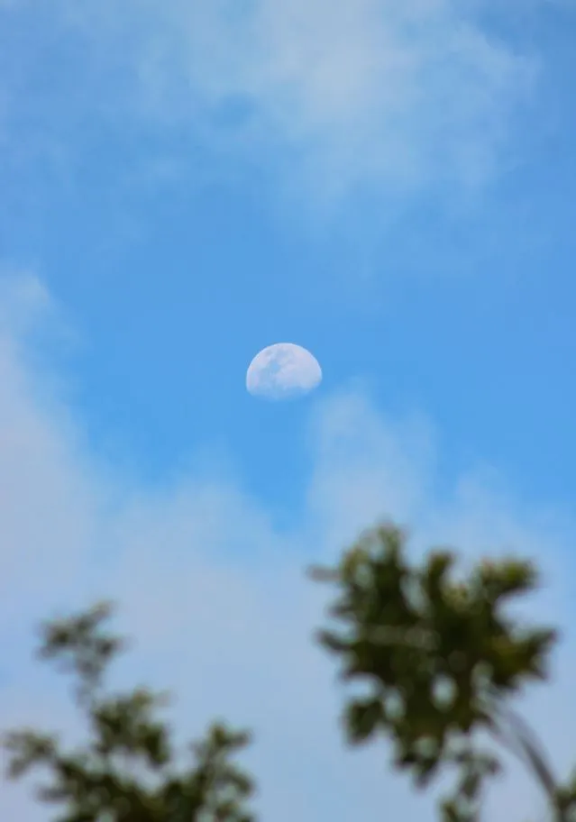 why you can sometimes see the moon during the day 15158