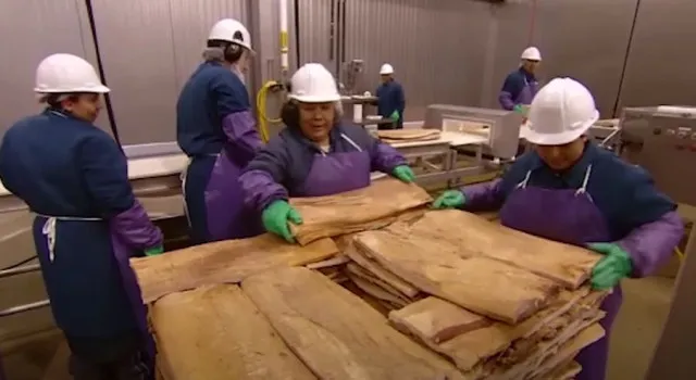 people-are-stunned-after-learning-how-bacon-is-made 15876