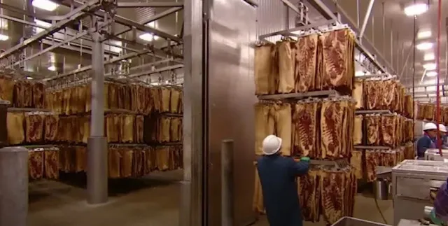 people-are-stunned-after-learning-how-bacon-is-made 15874