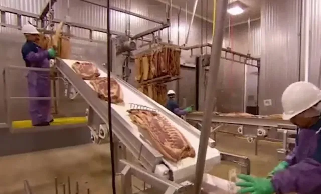 people-are-stunned-after-learning-how-bacon-is-made 15878
