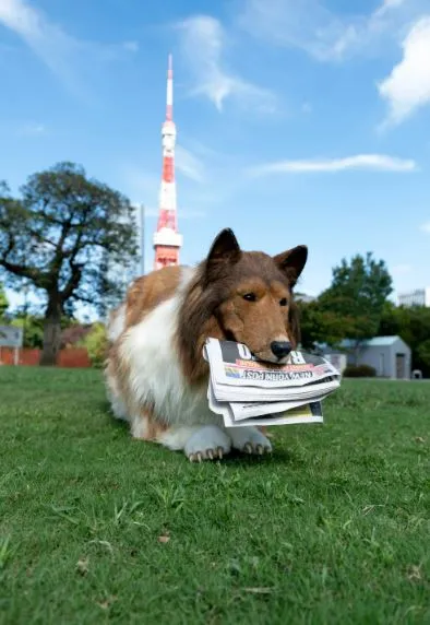 man who spent $14,000 to become a dog opens unique animal experience 16019