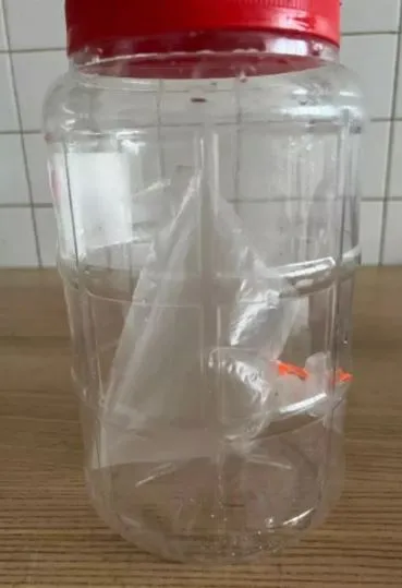 fan sells ‘billie eilish’s air’ for over $10,000 after her concert 16131