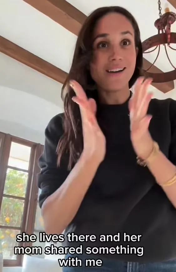 meghan markle criticized contrived in video offering help to la wildfire 16280