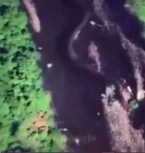sleuths stunned after spotting bigfoot look-alike on google maps 16445