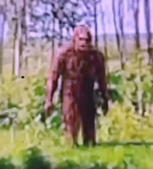 sleuths stunned after spotting bigfoot look-alike on google maps 16444