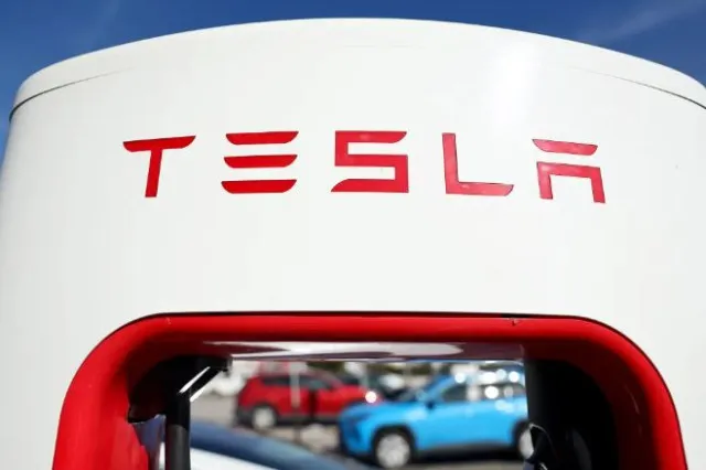 bakery owner struggles after tesla cancels $16,000 pie order last minute 17134