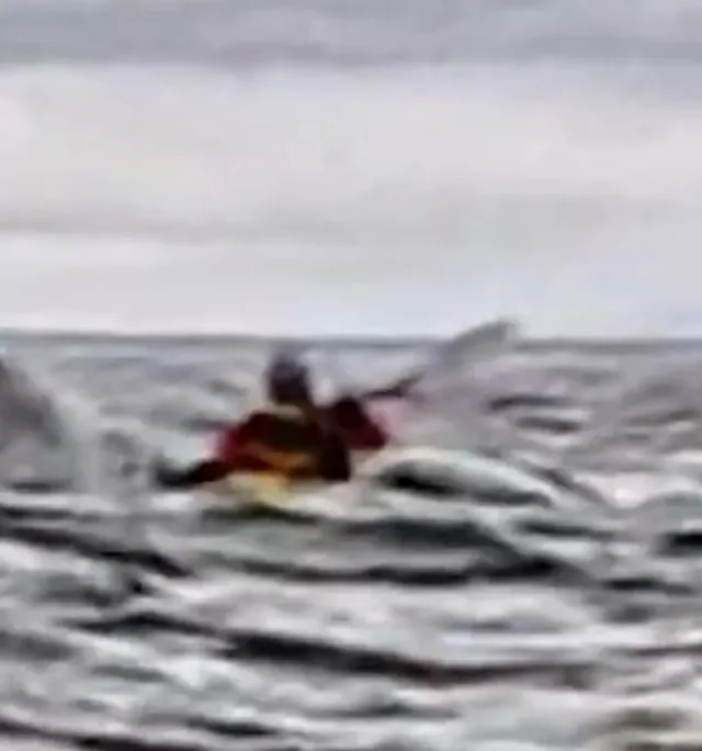 kayaker reveals terrifying moment he was ‘swallowed by whale’ 17082