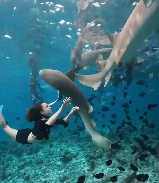 influencer covered in blood after being bitten by a shark while filming in 17394