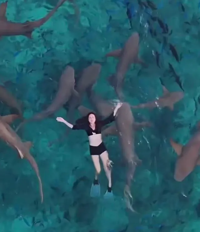 influencer covered in blood after being bitten by a shark while filming in 17392