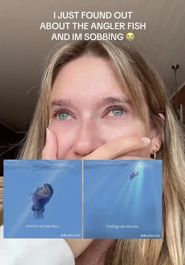 fragile gen z left in floods of tears as bizarre demon fish dies after 17600
