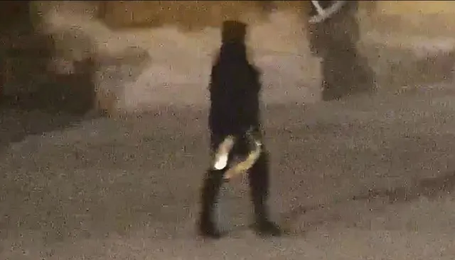 footage captures thieves stealing $5.98 million gold toilet from blenheim p 18294