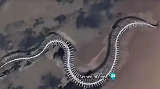 viewer skin crawls as huge titanoboa skeleton spotted on google earth dis 18350