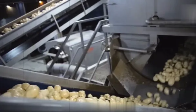 people feel gaslit as mcdonald’s burger-making process is revealed 18845