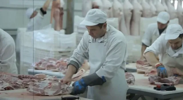 people feel gaslit as mcdonald’s burger-making process is revealed 18842