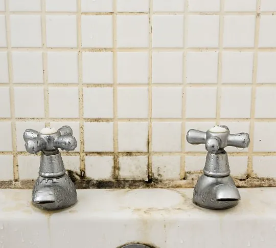how to remove and prevent black mold in the bathroom 19187